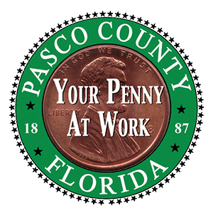 Penny for Pasco