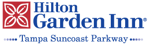 Hilton Garden Inn Tampa Suncoast Parkway